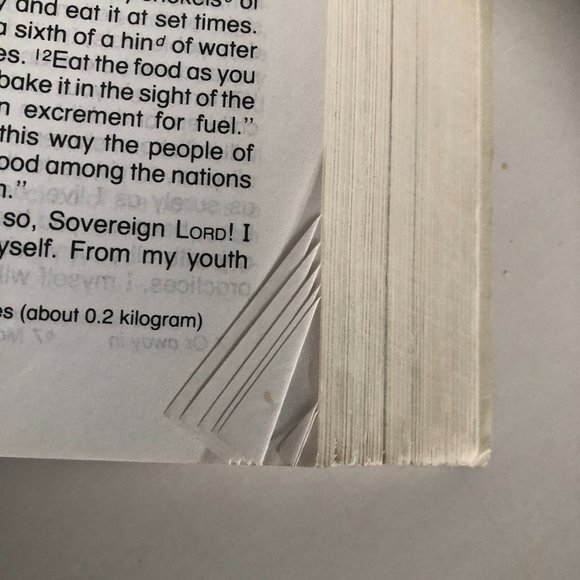 Encounter Bible New International Version Paperback - Picture 12 of 12